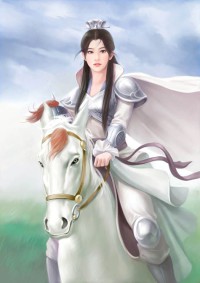 超电磁炮的守护