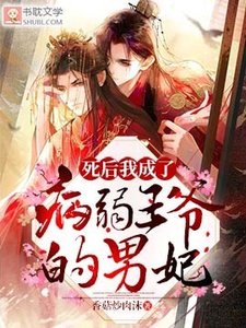 死后我成了病弱王爷的男妃